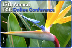 17th Annual TCC Online Conference